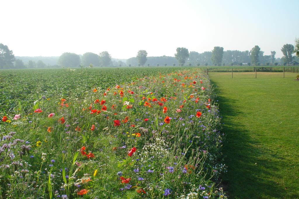 Lodgerie Het Groene Geheim Almere Exterior foto