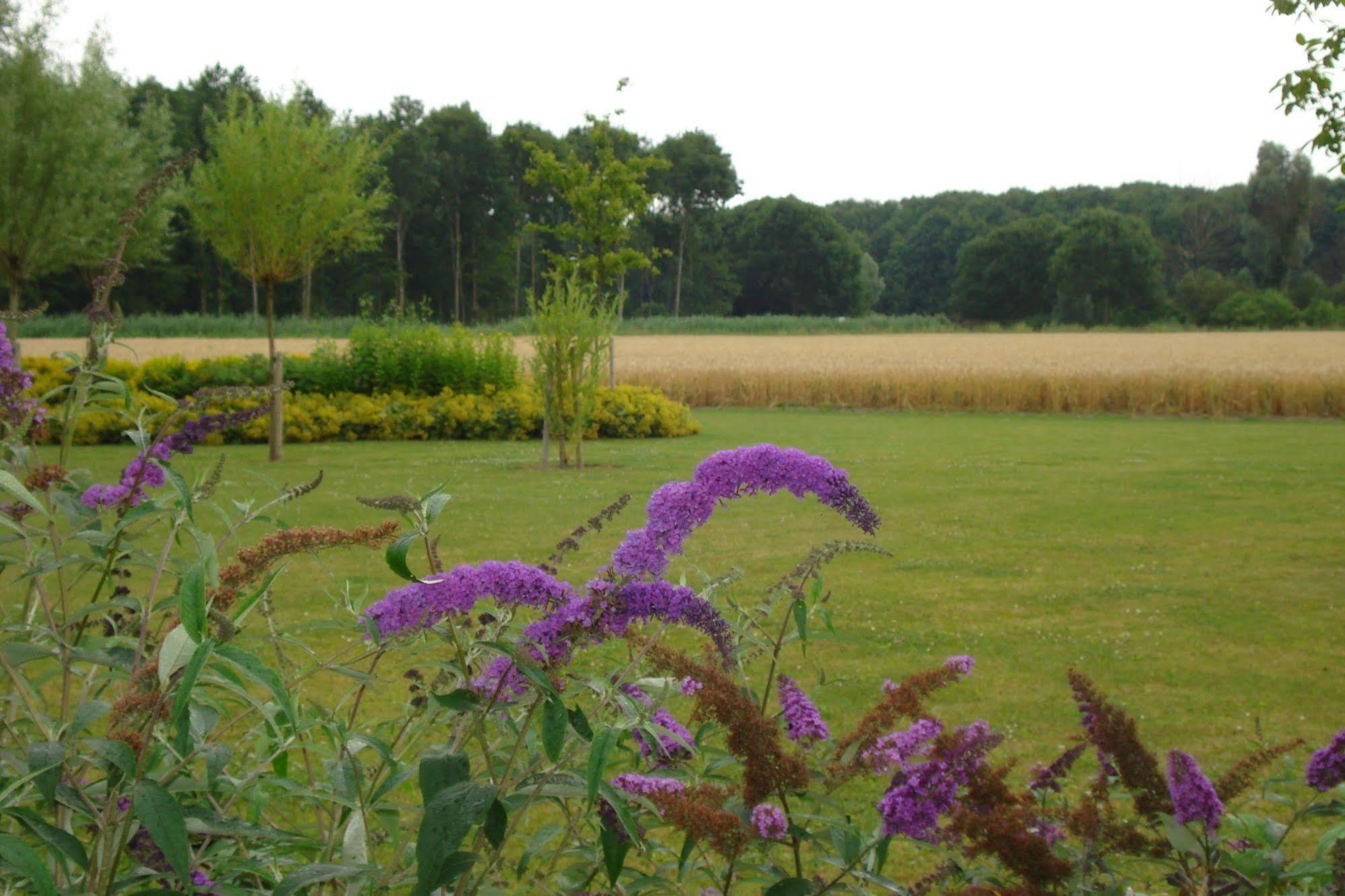 Lodgerie Het Groene Geheim Almere Exterior foto