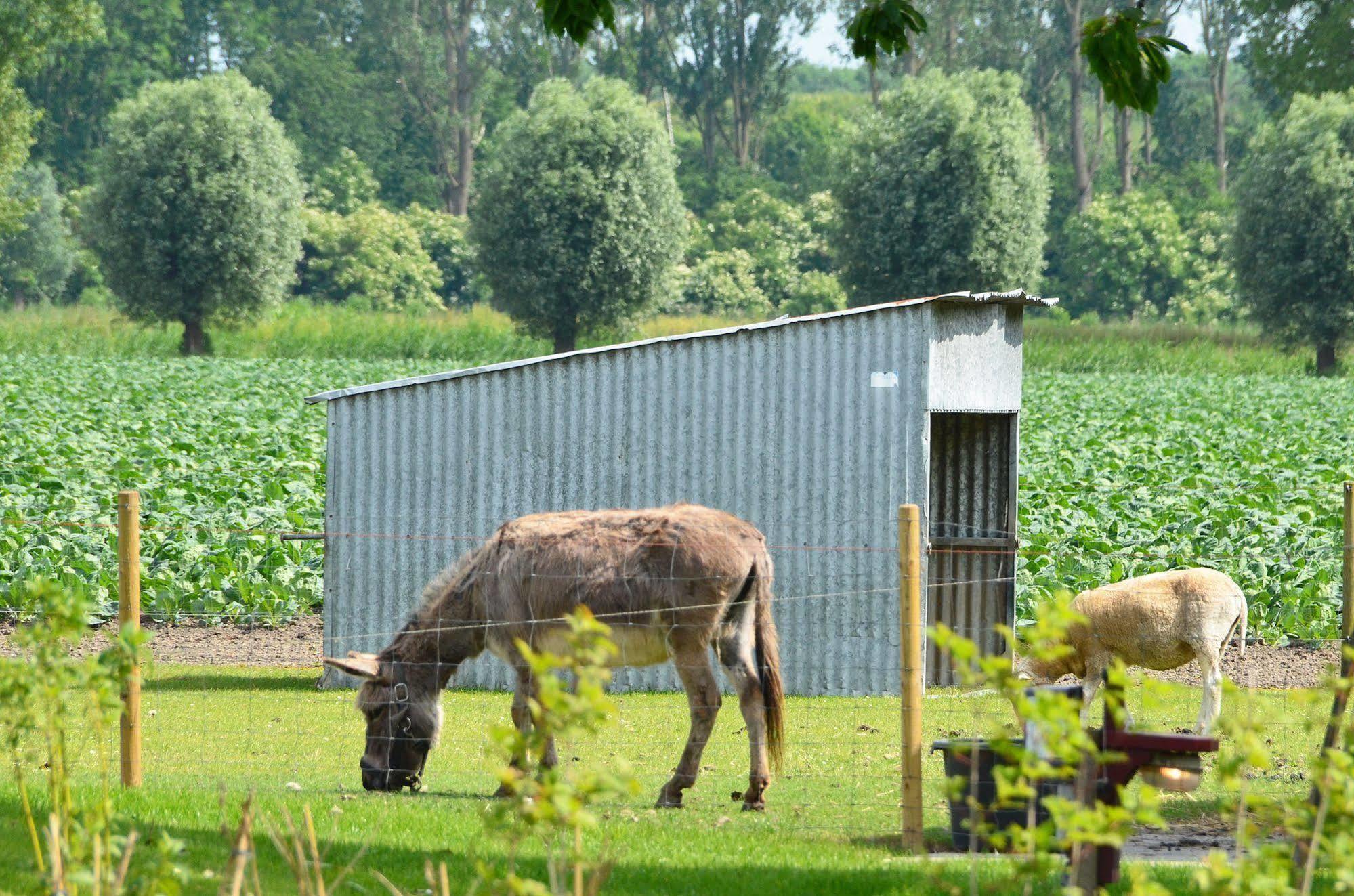 Lodgerie Het Groene Geheim Almere Exterior foto